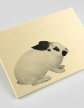 Wood postcard